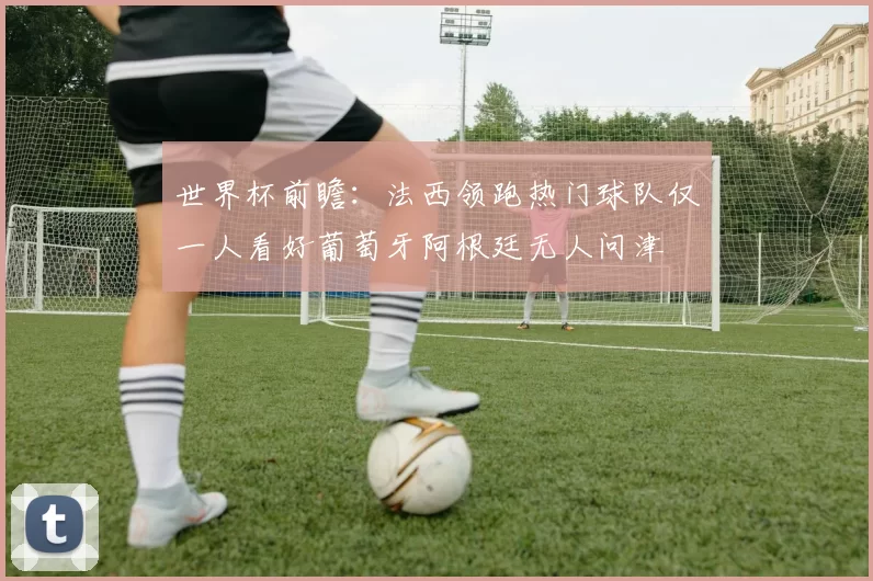 世界杯前瞻：法西领跑热门球队仅一人看好葡萄牙阿根廷无人问津